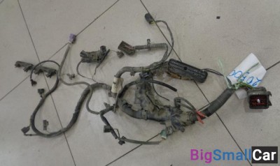 Проводка подкапотная от Ford Fiesta 2008-2017